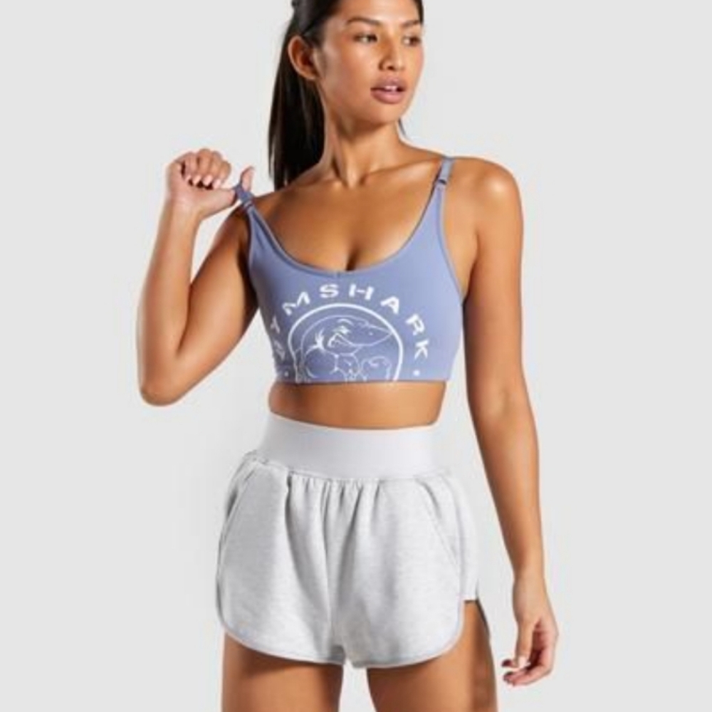 Legacy Sports Bra